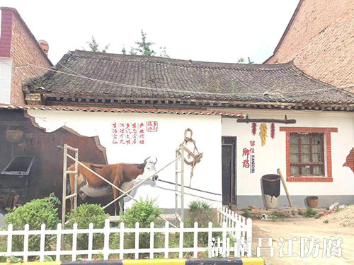 新農(nóng)村建設(shè)墻繪 (9)